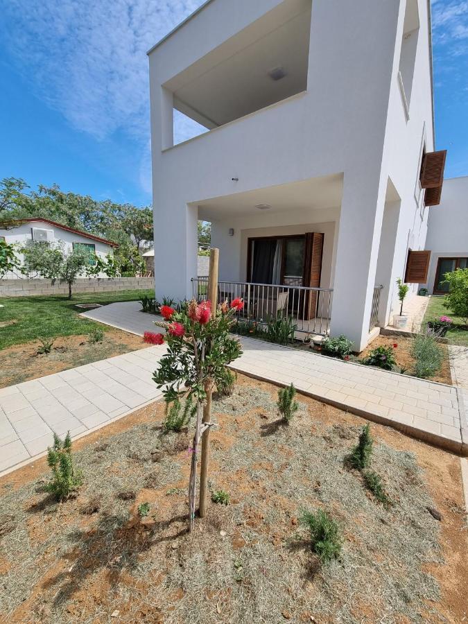 Apartments Leticia Vrsi Exterior photo
